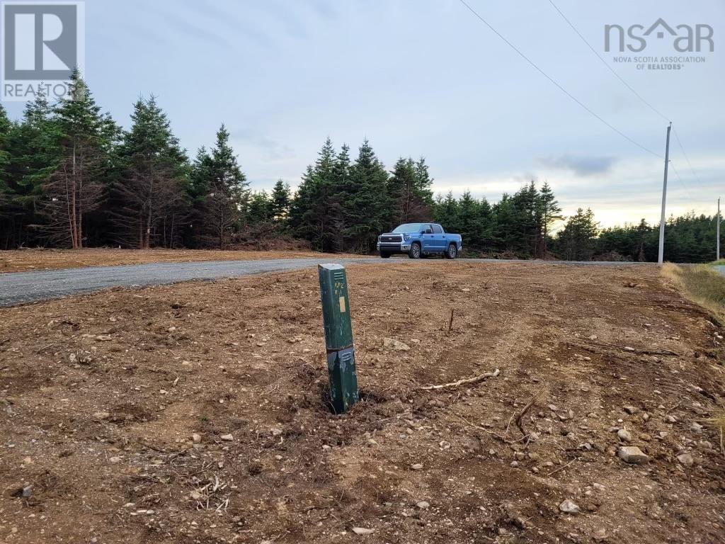 Doyle Road, Gracieville, Nova Scotia  B0E 1W0 - Photo 3 - 202403609