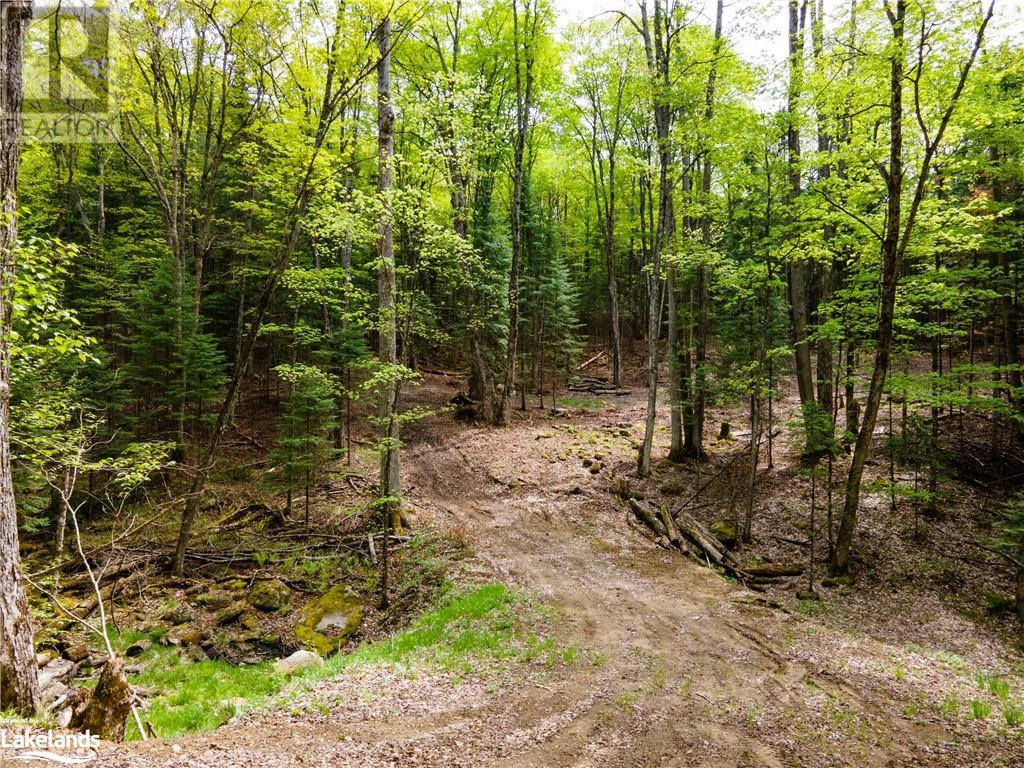 Lot 52 Chalet Road, Eagle Lake, Ontario  K0M 1S0 - Photo 22 - 40545812