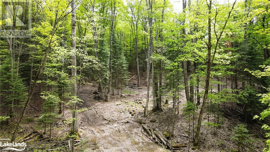 Lot 52 Chalet Road, Eagle Lake, Ontario  K0M 1S0 - Photo 24 - 40545812