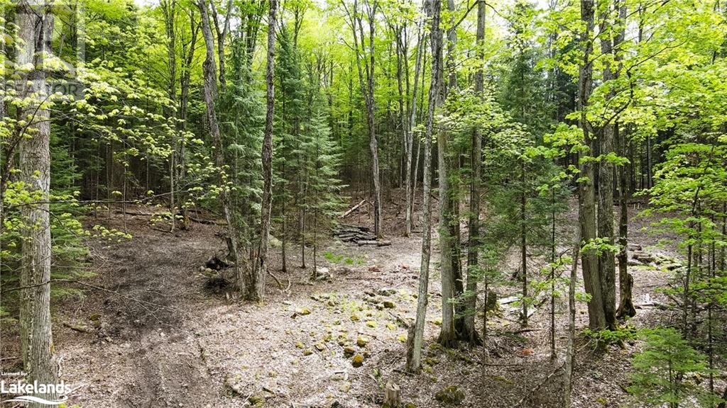 Lot 52 Chalet Road, Eagle Lake, Ontario  K0M 1S0 - Photo 25 - 40545812