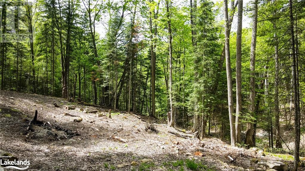 Lot 52 Chalet Road, Eagle Lake, Ontario  K0M 1S0 - Photo 27 - 40545812