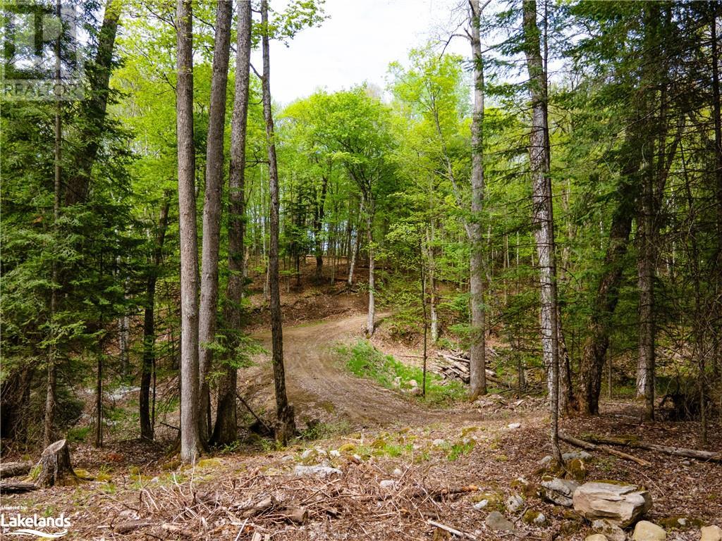 Lot 52 Chalet Road, Eagle Lake, Ontario  K0M 1S0 - Photo 32 - 40545812
