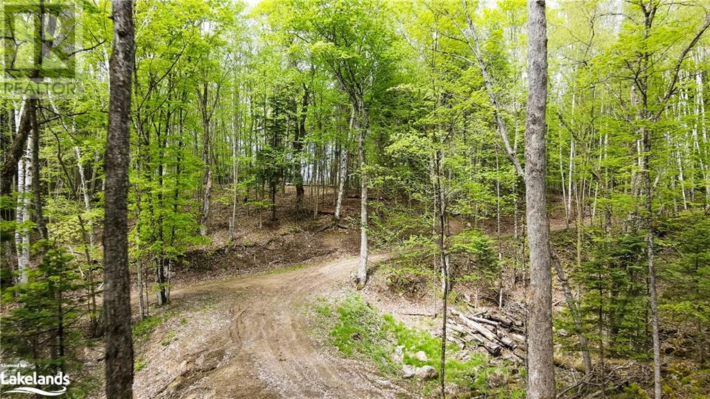 Lot 52 Chalet Road, Eagle Lake, Ontario  K0M 1S0 - Photo 33 - 40545812