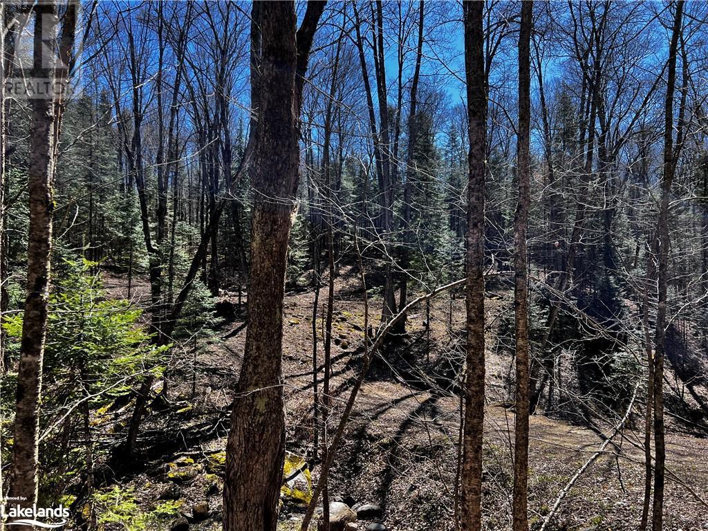 Lot 52 Chalet Road, Eagle Lake, Ontario  K0M 1S0 - Photo 37 - 40545812