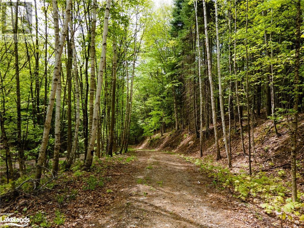 Lot 52 Chalet Road, Eagle Lake, Ontario  K0M 1S0 - Photo 5 - 40545812