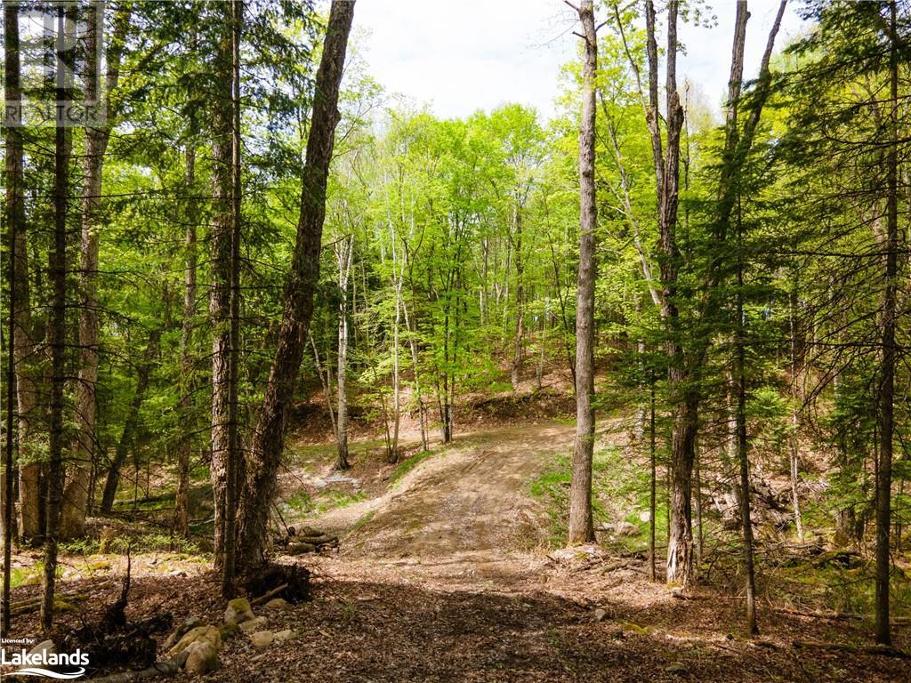 Lot 52 Chalet Road, Eagle Lake, Ontario  K0M 1S0 - Photo 6 - 40545812