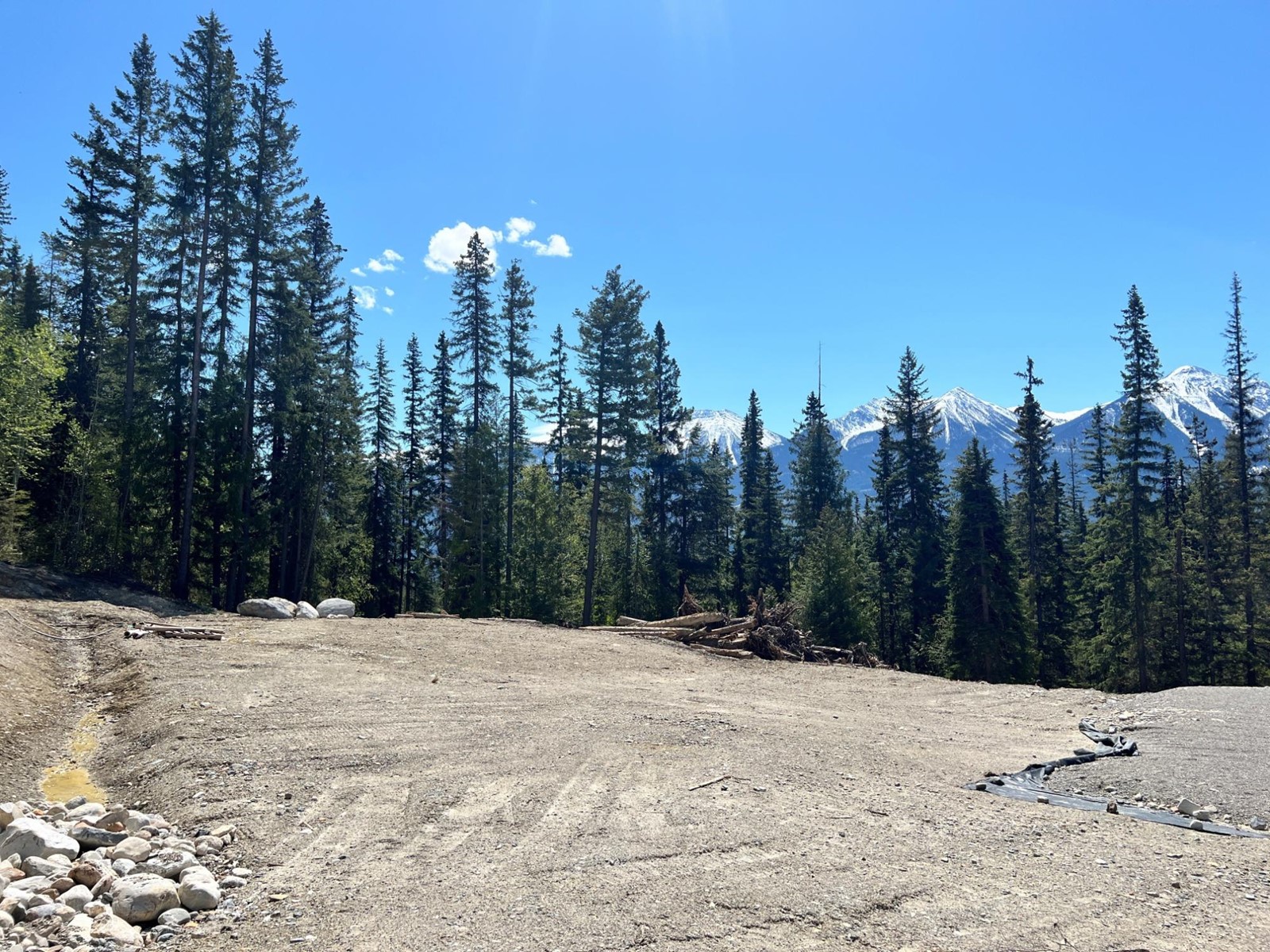 1460 BLACK BEAR DRIVE, golden, British Columbia