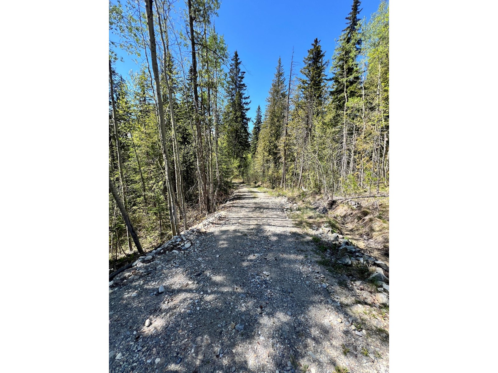 1460 Black Bear Drive, Golden, British Columbia  V0A 1H7 - Photo 4 - 2475205