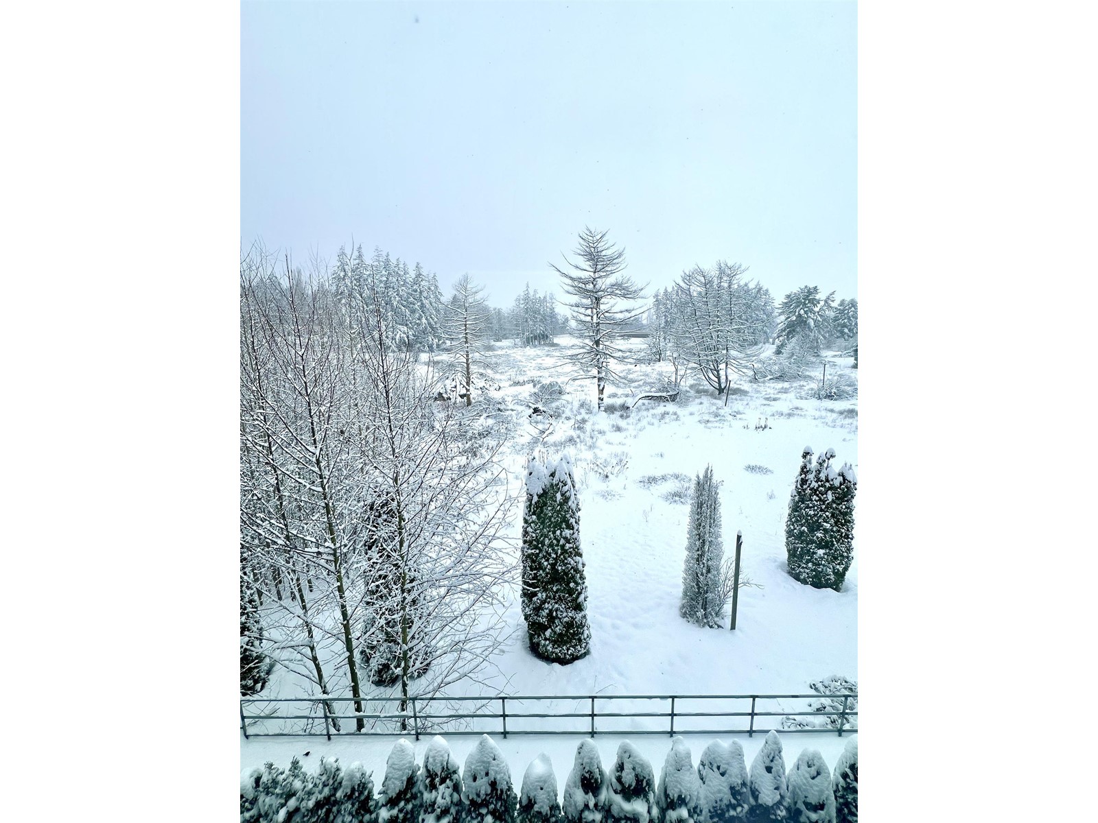 13 14541 Winter Crescent, Surrey, British Columbia  V4P 0G5 - Photo 4 - R2854449