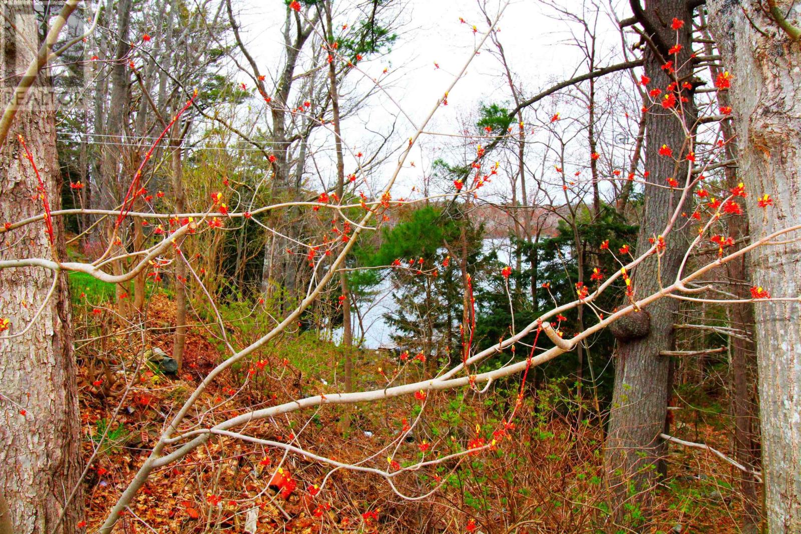 23 Windsor Junction Road, Windsor Junction, Nova Scotia  B2T 1G7 - Photo 16 - 202403661