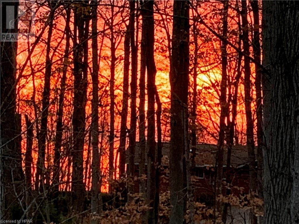 75331 Maxobel Road, Bayfield, Ontario  N0M 1G0 - Photo 9 - 40541666