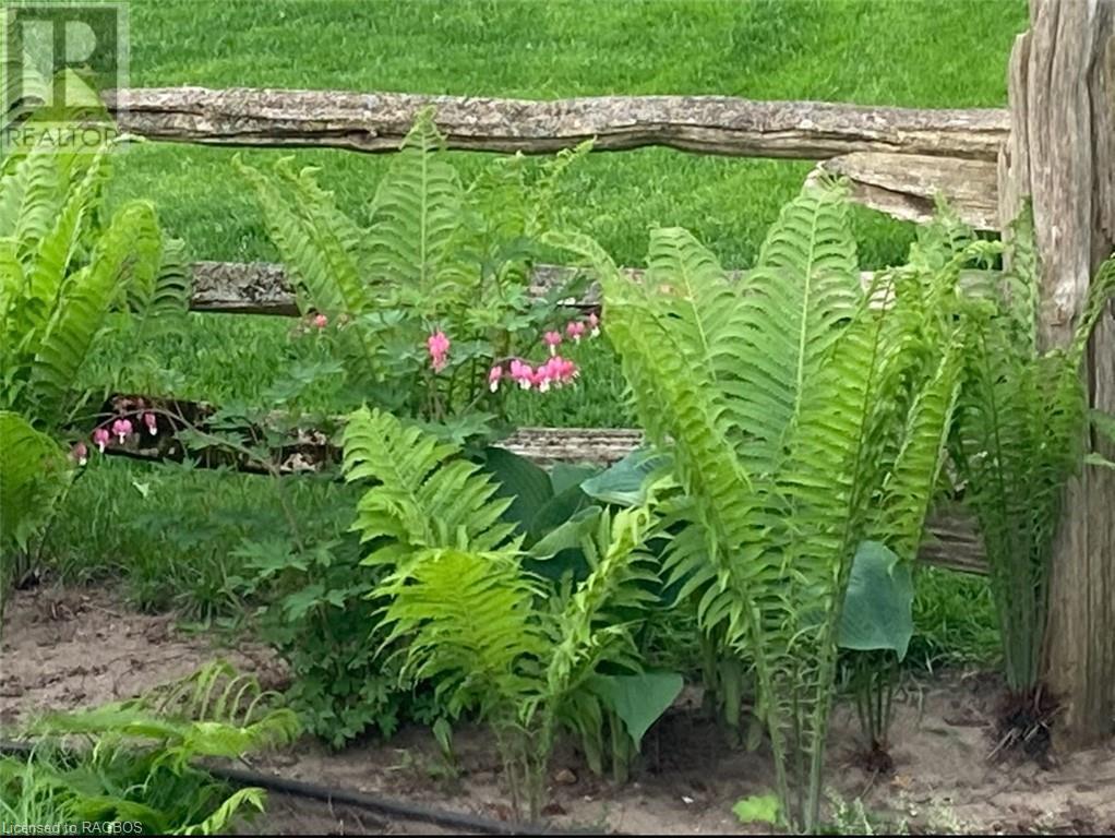 415 Waterloo Street, Port Elgin, Ontario  N0H 2C1 - Photo 32 - 40547395