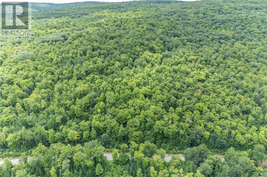 00 Kamaniskeg Lake Road, Combermere, Ontario  K0J 1L0 - Photo 16 - 1378826