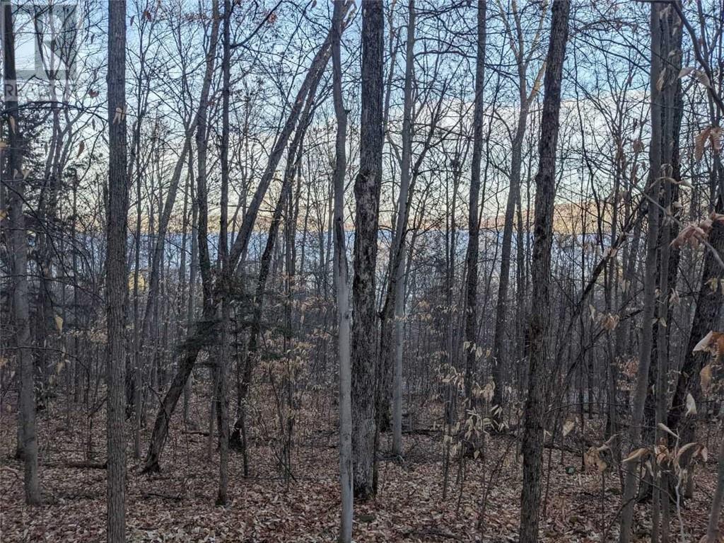 00 Kamaniskeg Lake Road, Combermere, Ontario  K0J 1L0 - Photo 2 - 1378826