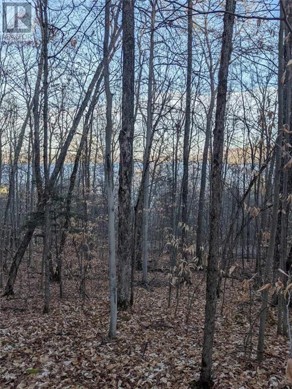 00 Kamaniskeg Lake Road, Combermere, Ontario  K0J 1L0 - Photo 3 - 1378826