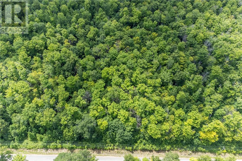 00 Kamaniskeg Lake Road, Combermere, Ontario  K0J 1L0 - Photo 6 - 1378826