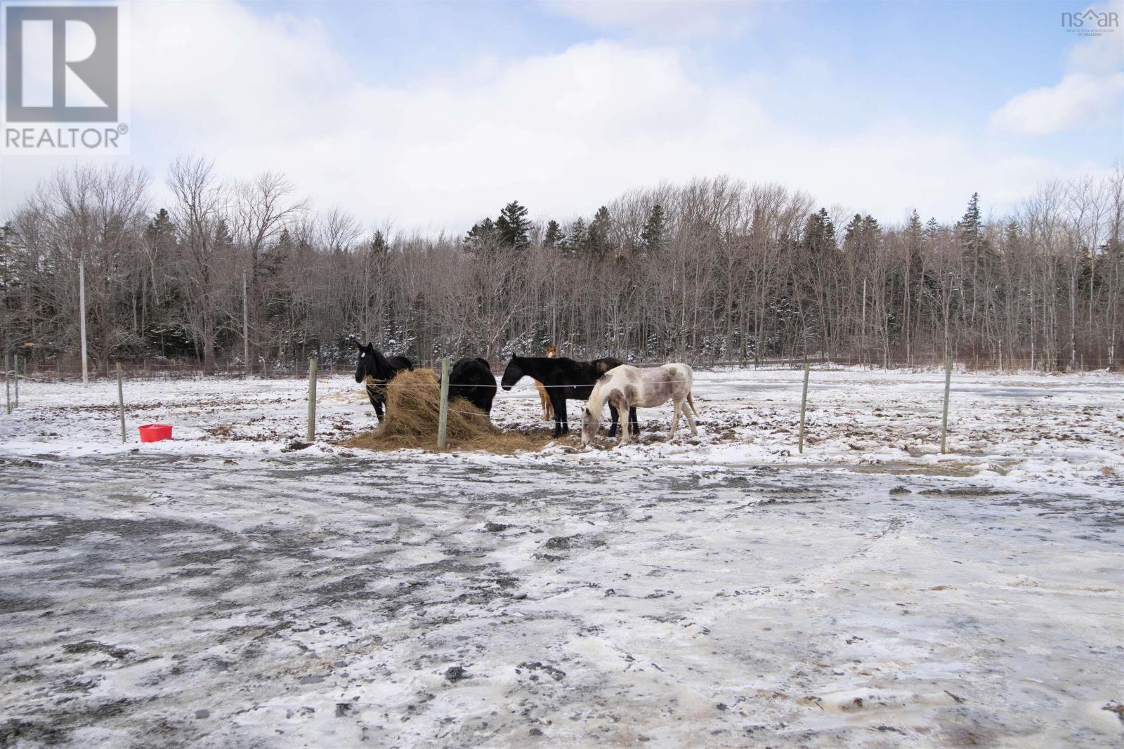 1272 Waldeck Line Road, Waldeck East, Nova Scotia  B0S 1E0 - Photo 8 - 202403690