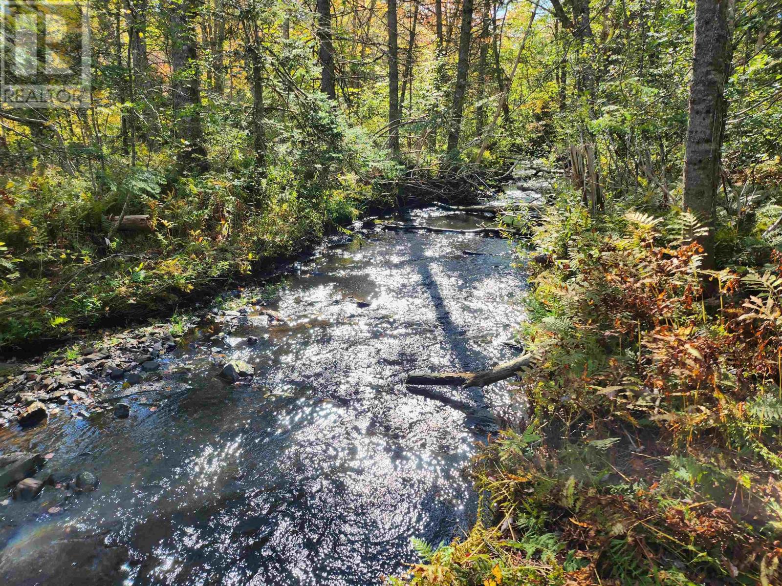 Lot Greenfield Road, Greenfield, Nova Scotia  B4P 2R1 - Photo 1 - 202403693
