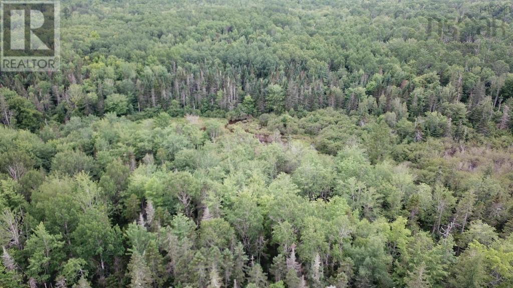 Lot Greenfield Road, Greenfield, Nova Scotia  B4P 2R1 - Photo 13 - 202403693