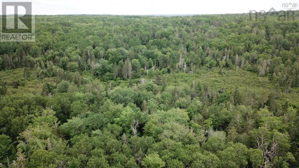 Lot Greenfield Road, Greenfield, Nova Scotia  B4P 2R1 - Photo 15 - 202403693