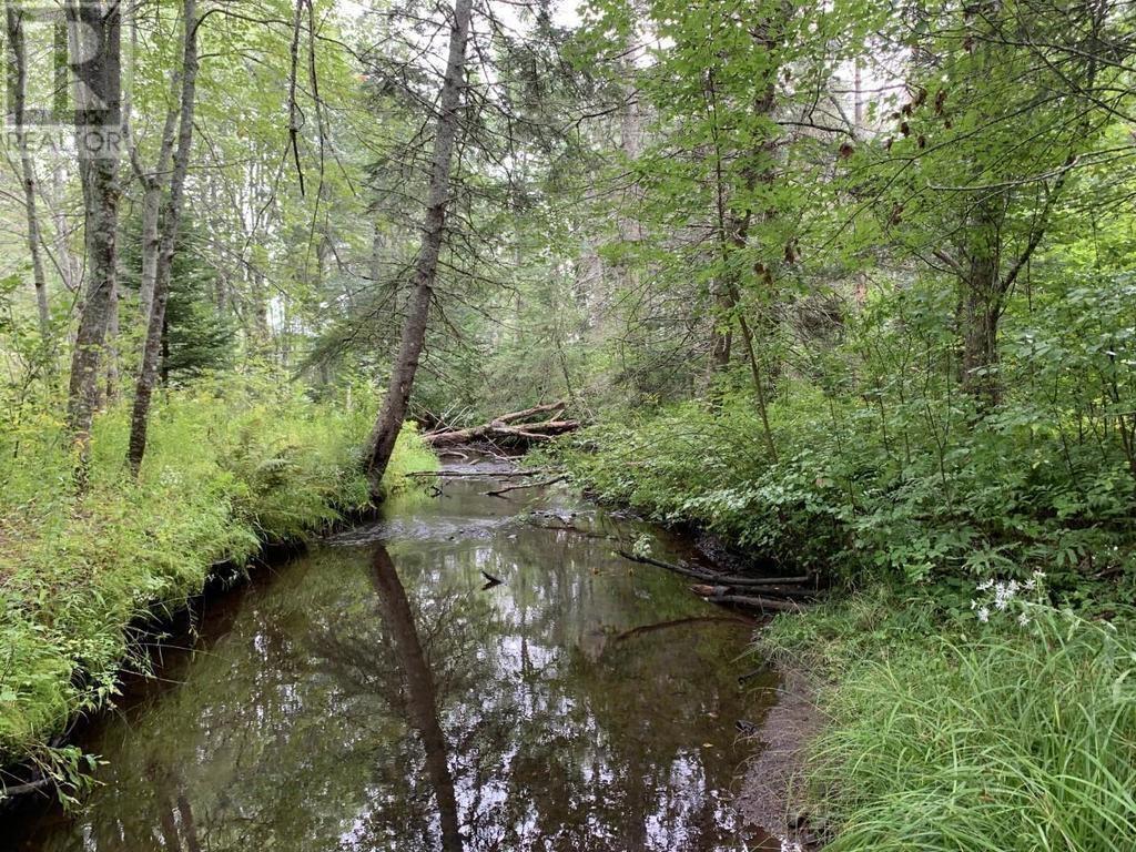 Lot Greenfield Road, Greenfield, Nova Scotia  B4P 2R1 - Photo 16 - 202403693