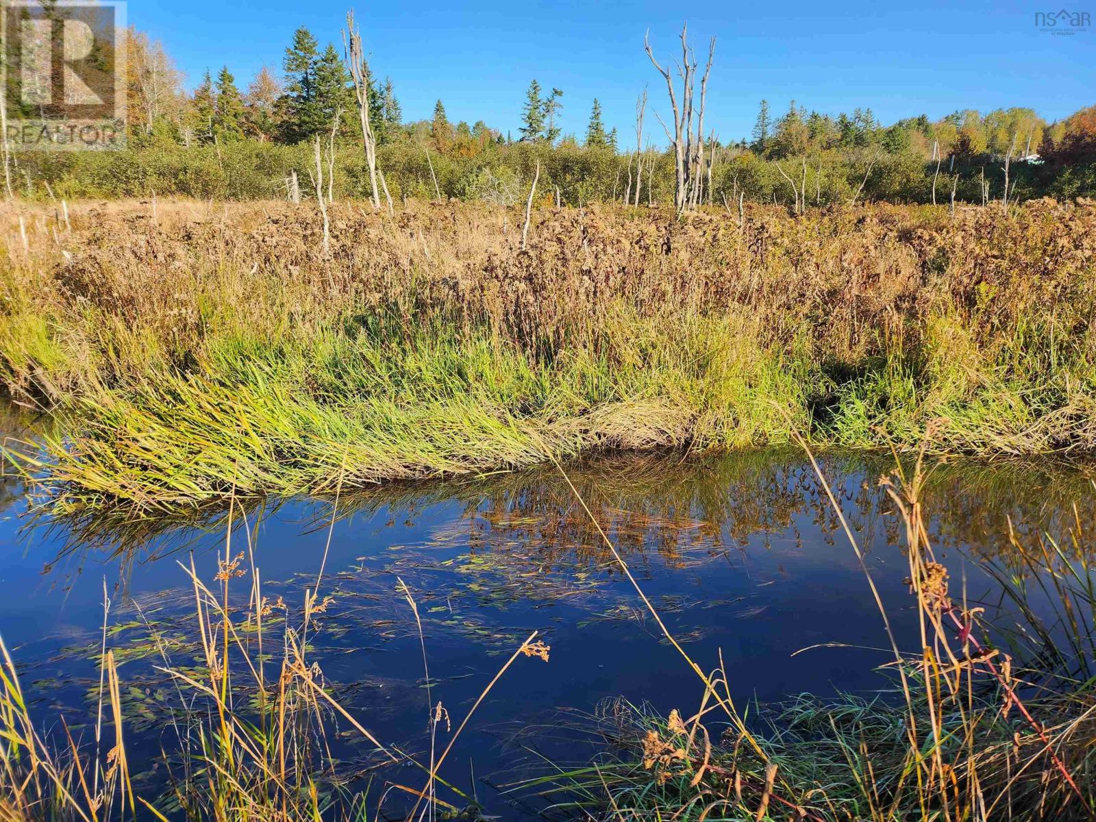 Lot Greenfield Road, Greenfield, Nova Scotia  B4P 2R1 - Photo 18 - 202403693
