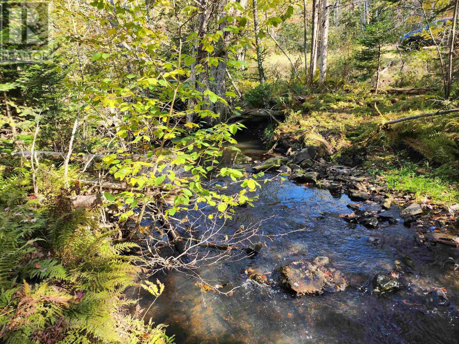 Lot Greenfield Road, Greenfield, Nova Scotia  B4P 2R1 - Photo 3 - 202403693