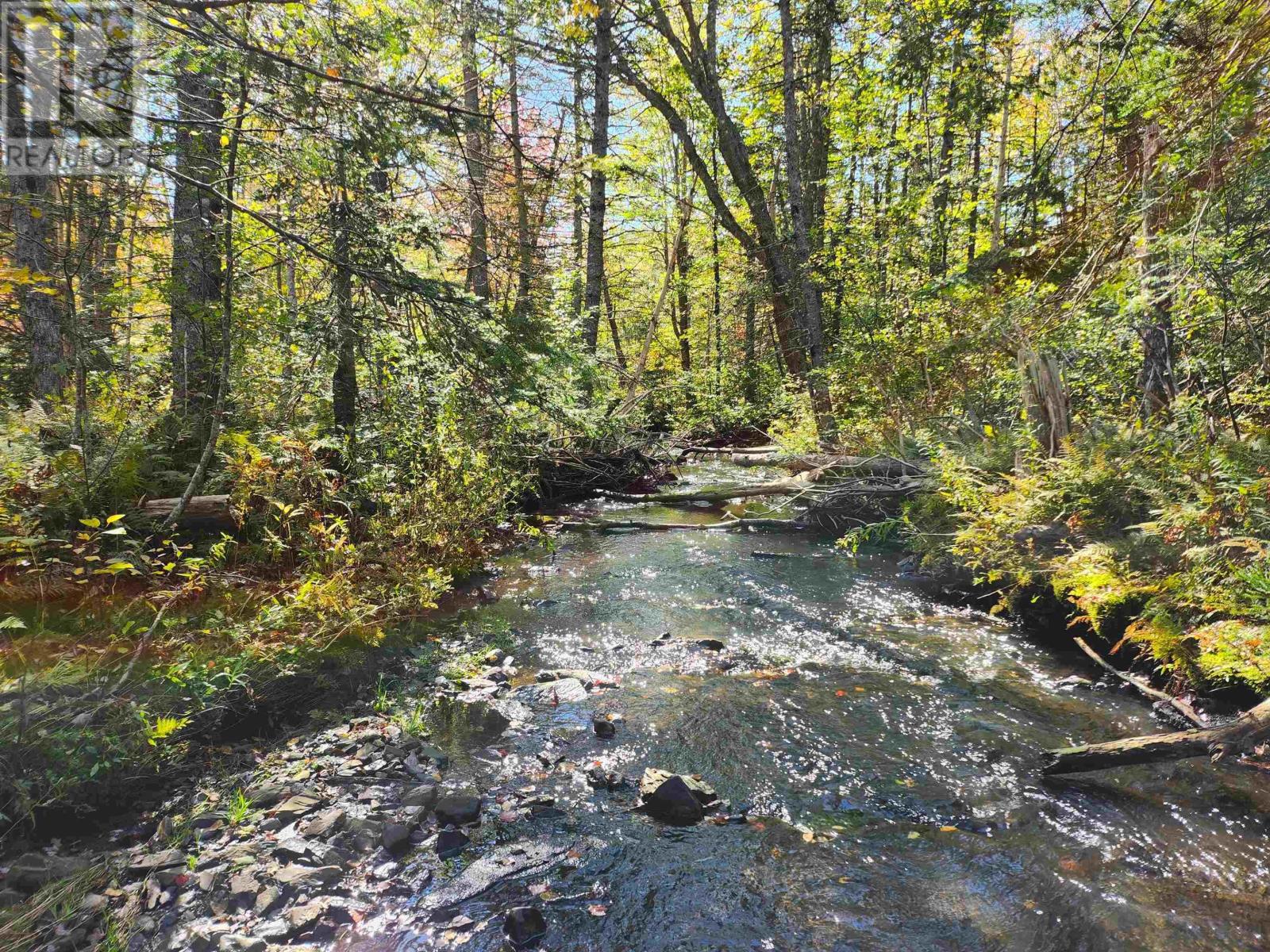 Lot Greenfield Road, Greenfield, Nova Scotia  B4P 2R1 - Photo 4 - 202403693