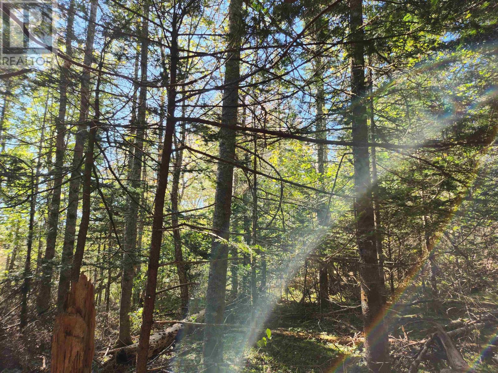 Lot Greenfield Road, Greenfield, Nova Scotia  B4P 2R1 - Photo 7 - 202403693