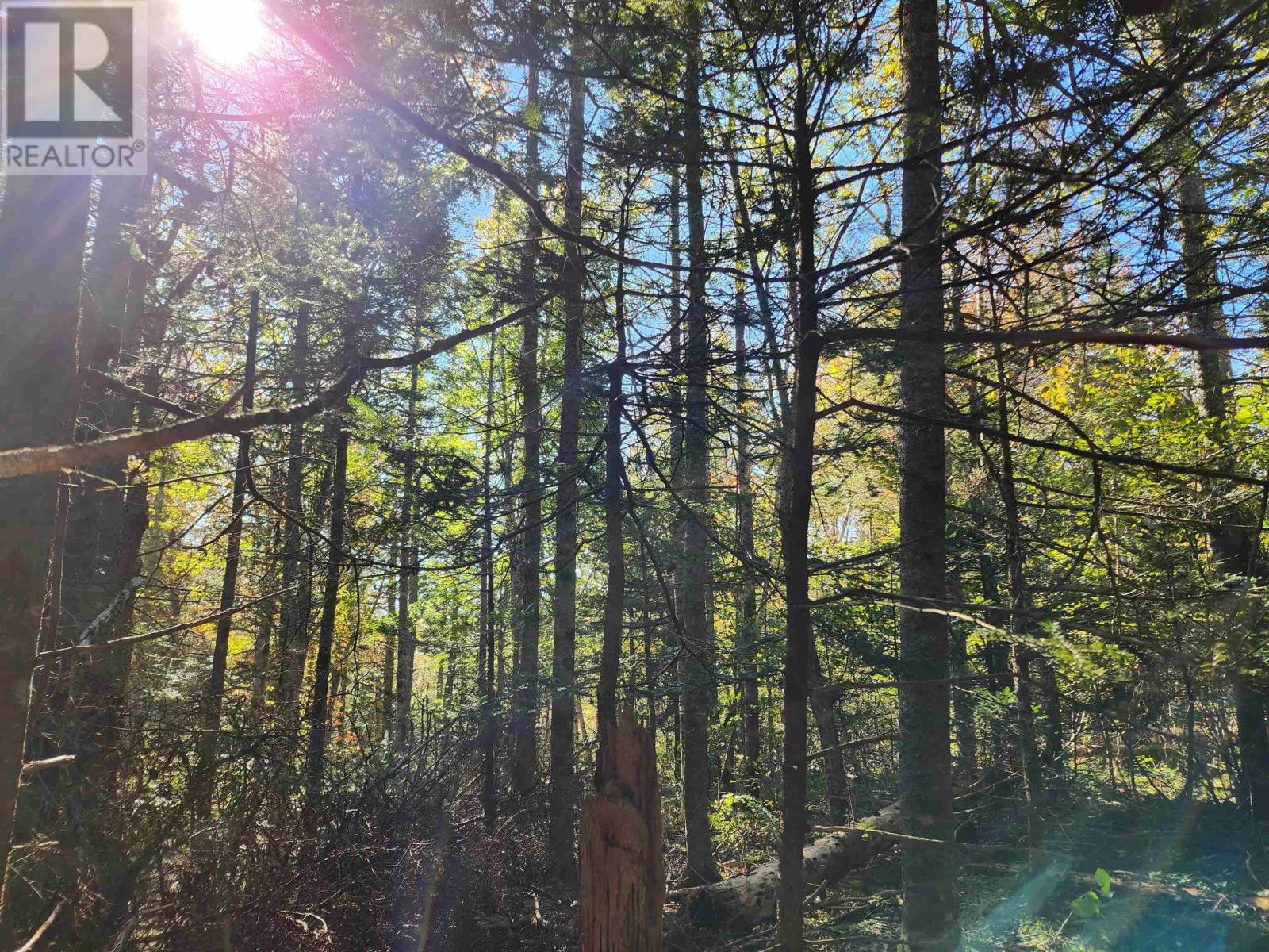 Lot Greenfield Road, Greenfield, Nova Scotia  B4P 2R1 - Photo 9 - 202403693