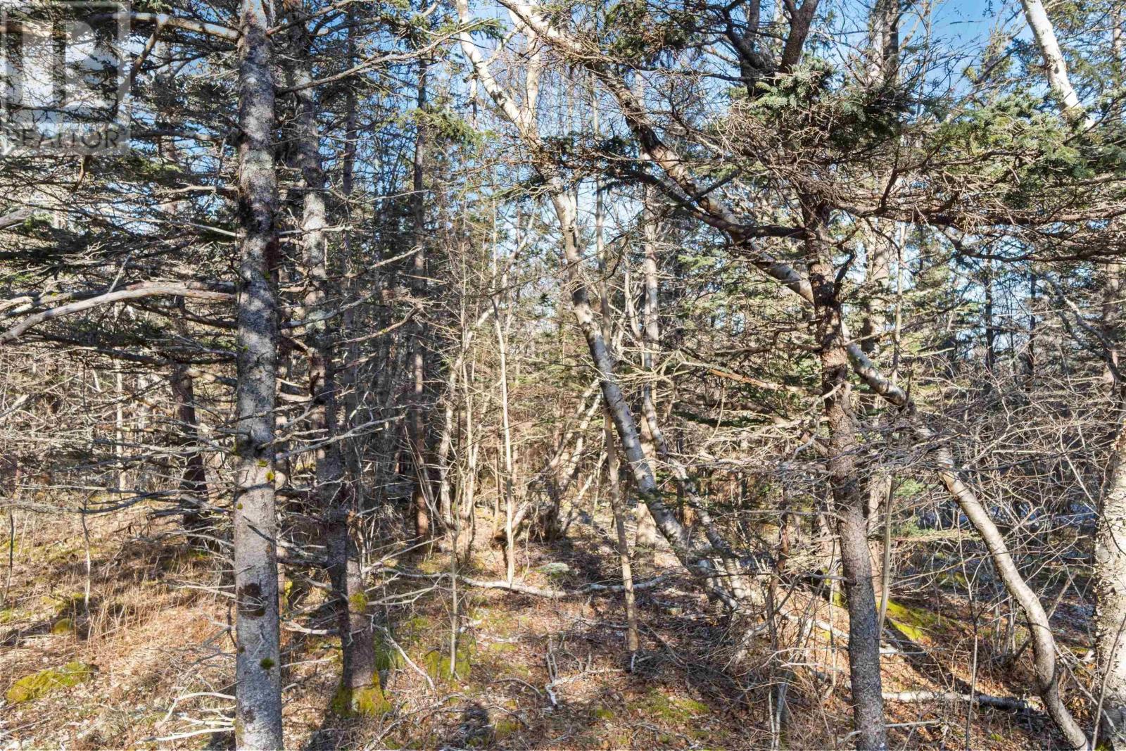 Lot 3 Hampton Mountain Road, Hampton, Nova Scotia  B0S 1L0 - Photo 28 - 202403731