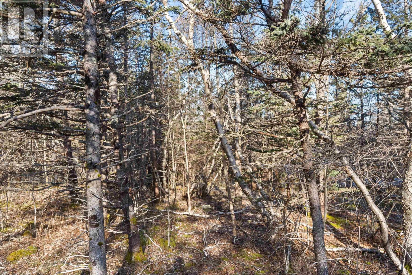 Lot 3 Hampton Mountain Road, Hampton, Nova Scotia  B0S 1L0 - Photo 29 - 202403731