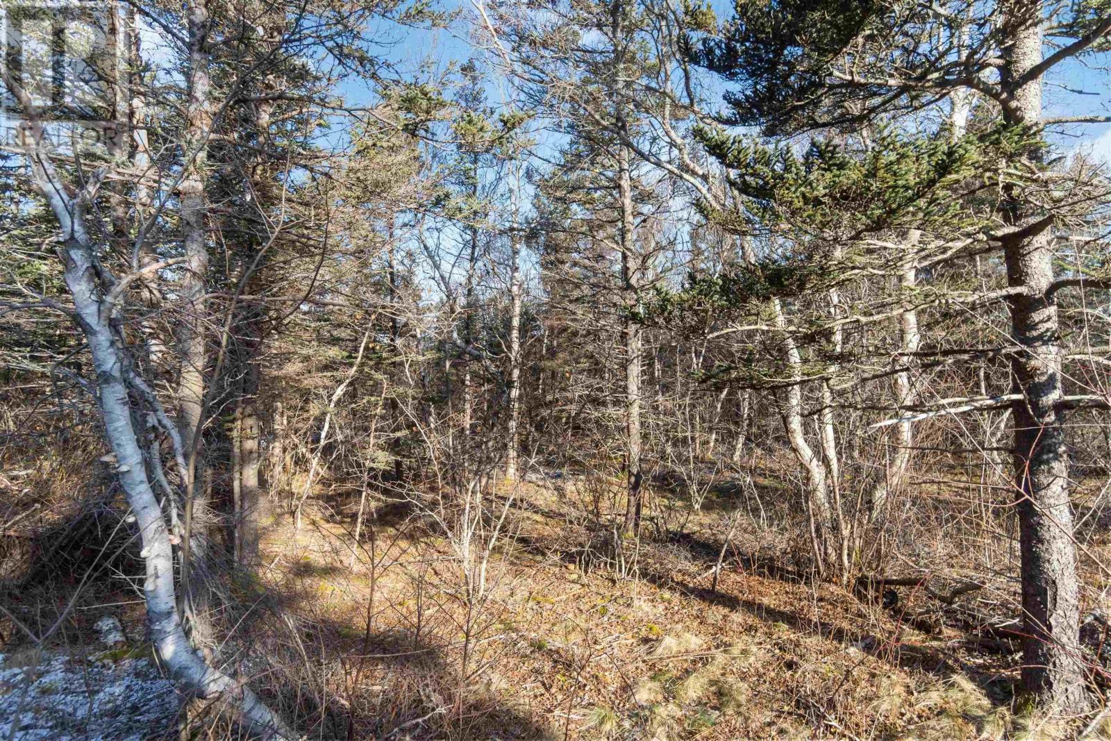 Lot 3 Hampton Mountain Road, Hampton, Nova Scotia  B0S 1L0 - Photo 30 - 202403731