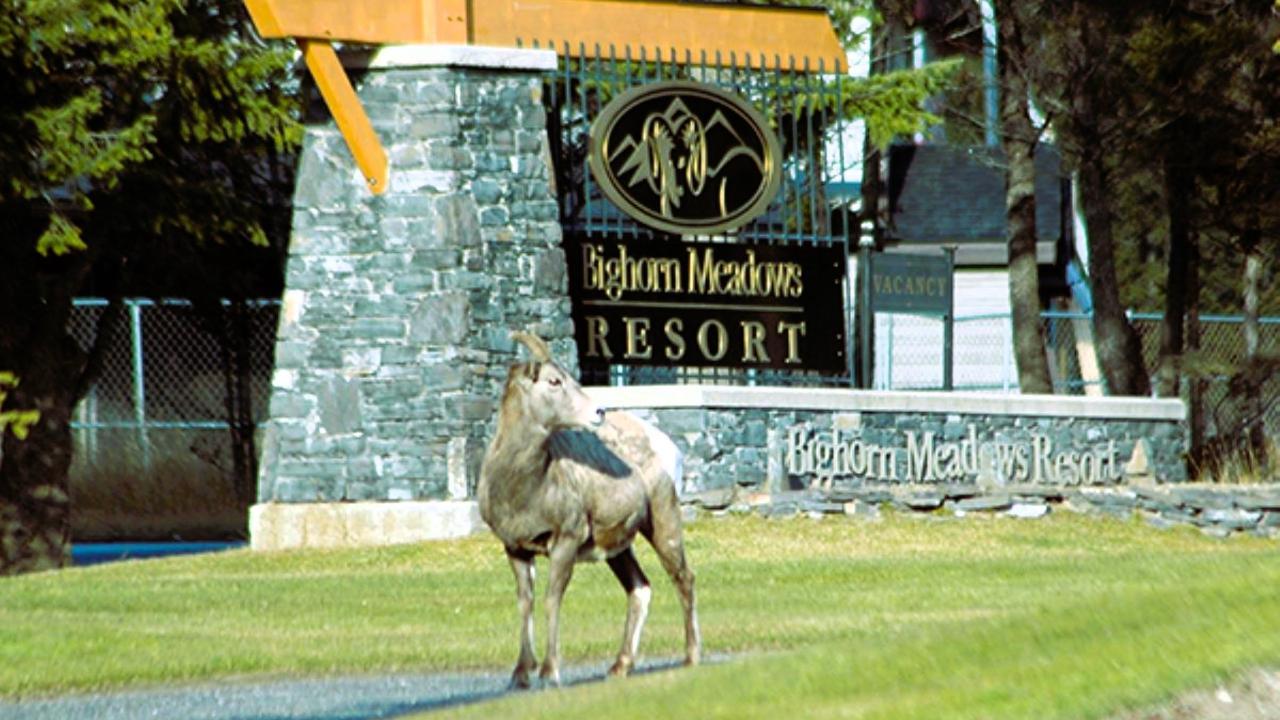 614 B - 600 Bighorn Boulevard, Radium Hot Springs, British Columbia  V0A 1M0 - Photo 83 - 2475202