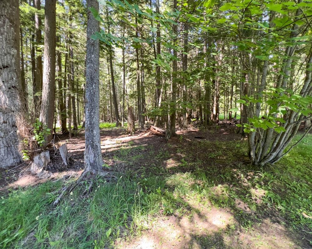 13304 - 13308 Highway 31, Meadow Creek, British Columbia  V0G 1N0 - Photo 24 - 2475155