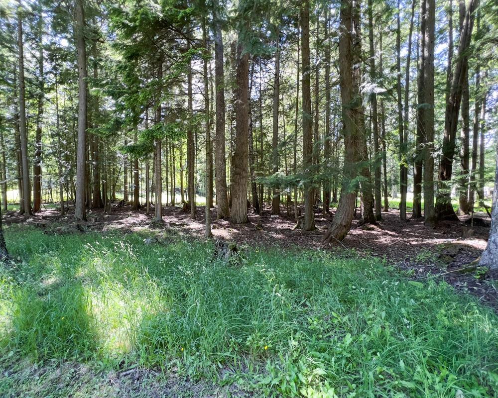 13304 - 13308 Highway 31, Kaslo North To Gerrard, British Columbia  V0G 1N0 - Photo 89 - 2475154