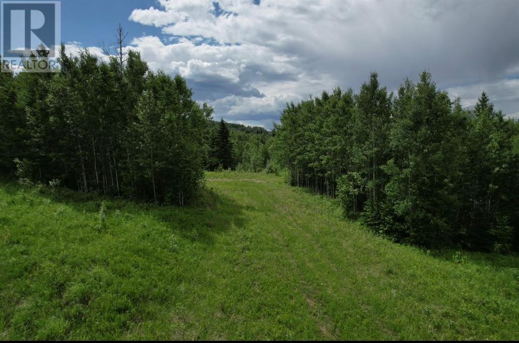 20, Township Road 583, Rural Woodlands County, Alberta  T7S 1N3 - Photo 1 - A2027254