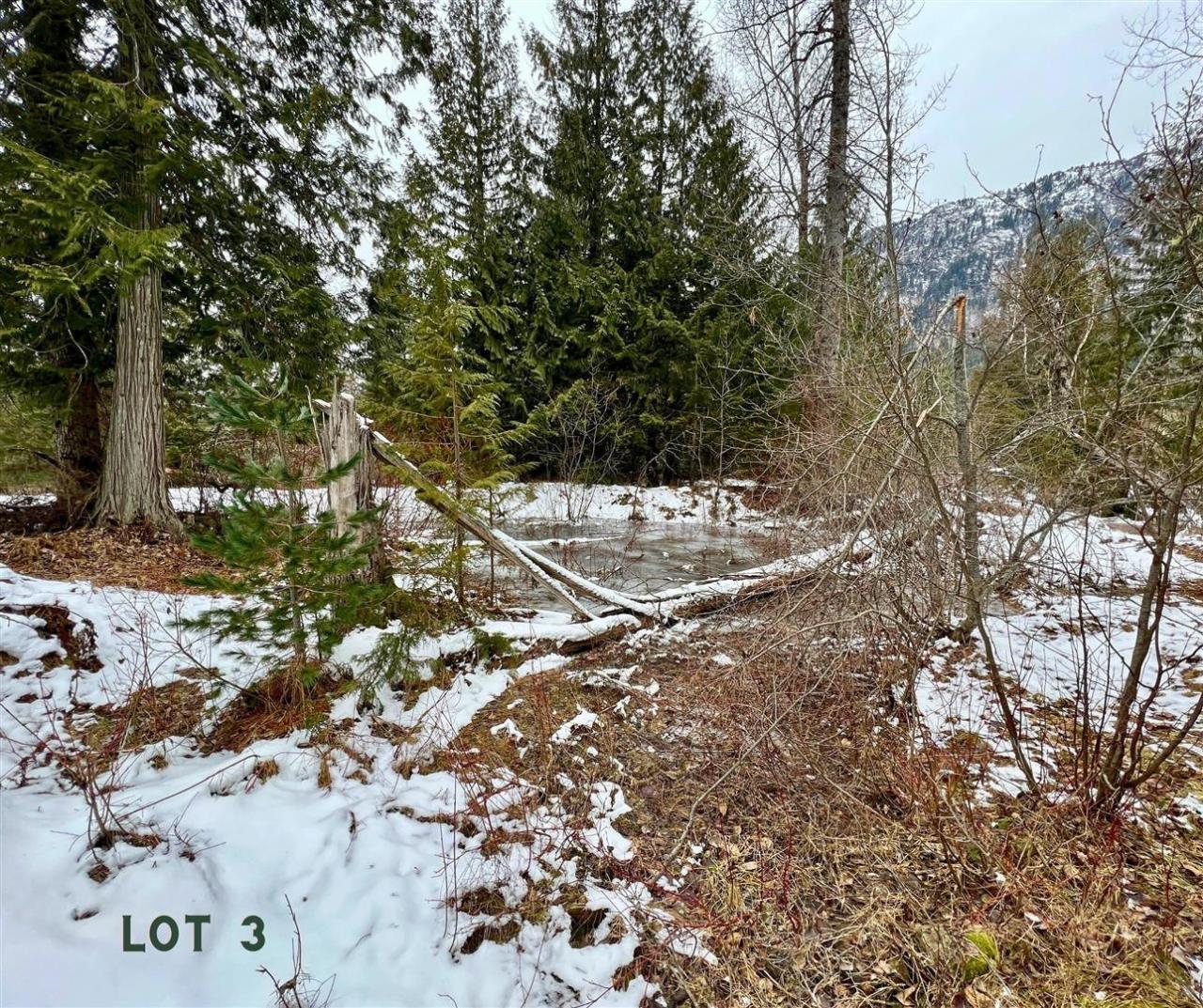 Lot 3 Hedstrom Road, Crawford Bay, British Columbia  V0B 1E0 - Photo 5 - 2475233