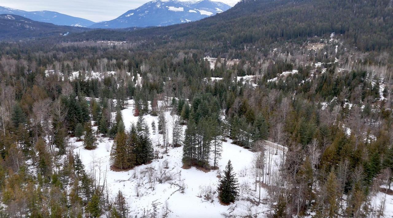 Lot 3 Hedstrom Road, Crawford Bay, British Columbia  V0B 1E0 - Photo 14 - 2475233