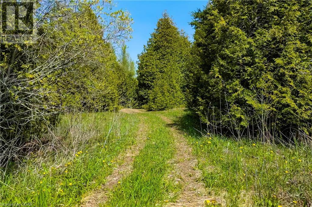 5489 Fourth Line, Erin, Ontario  N0B 1Z0 - Photo 5 - 40548006