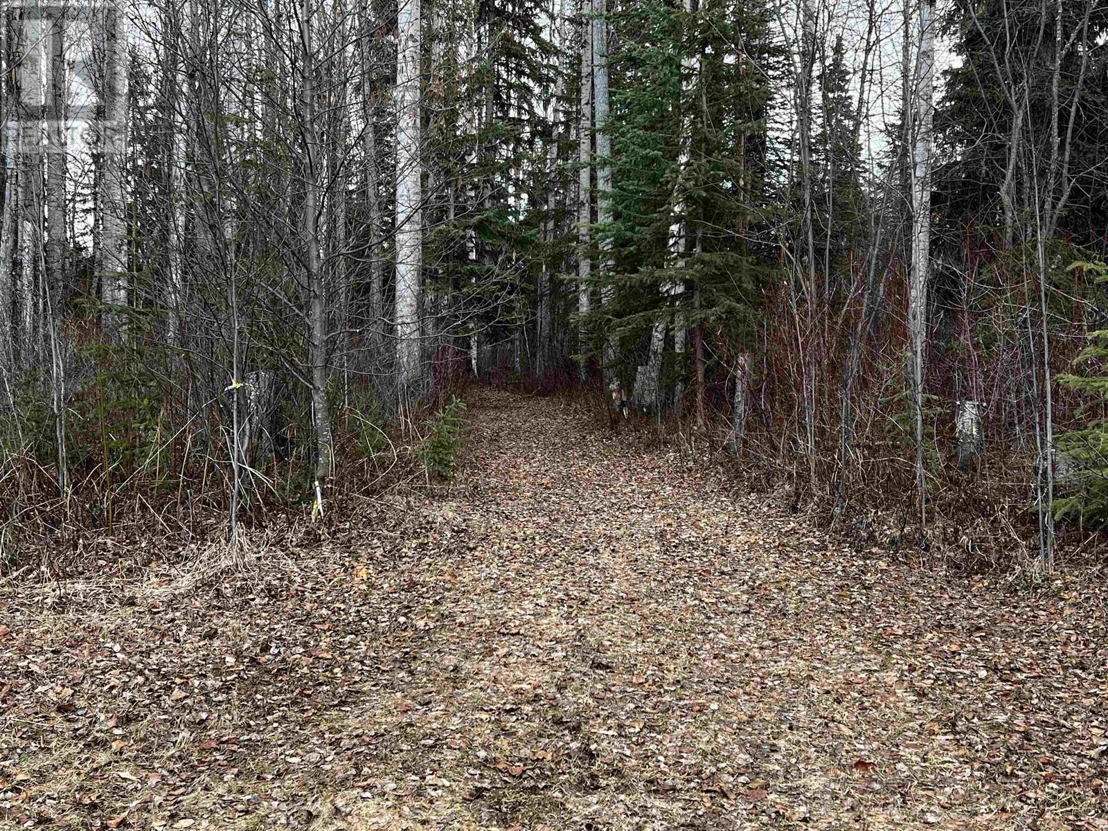 11409 Huffman Drive, Fort St. James, British Columbia  V0J 1P0 - Photo 35 - R2854574