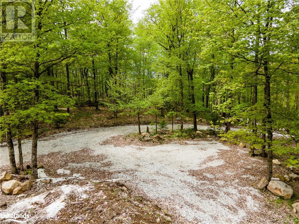 Lot 109 Basshaunt Lake Road, Haliburton, Ontario  K0M 1S0 - Photo 2 - 40547410