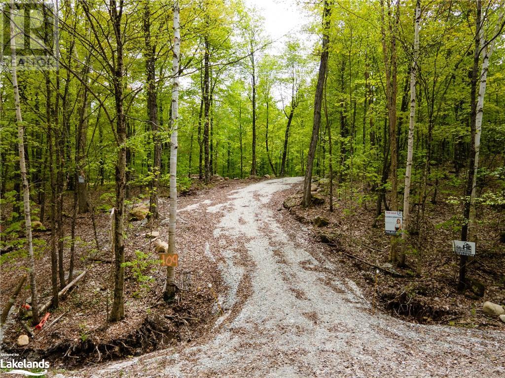 Lot 109 Basshaunt Lake Road, Haliburton, Ontario  K0M 1S0 - Photo 3 - 40547410