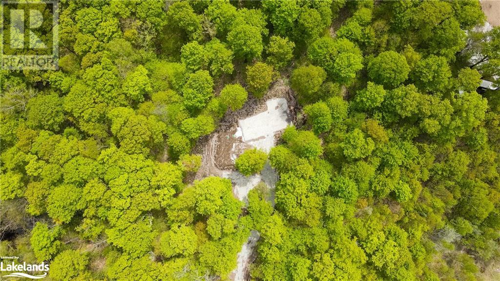 Lot 109 Basshaunt Lake Road, Haliburton, Ontario  K0M 1S0 - Photo 9 - 40547410