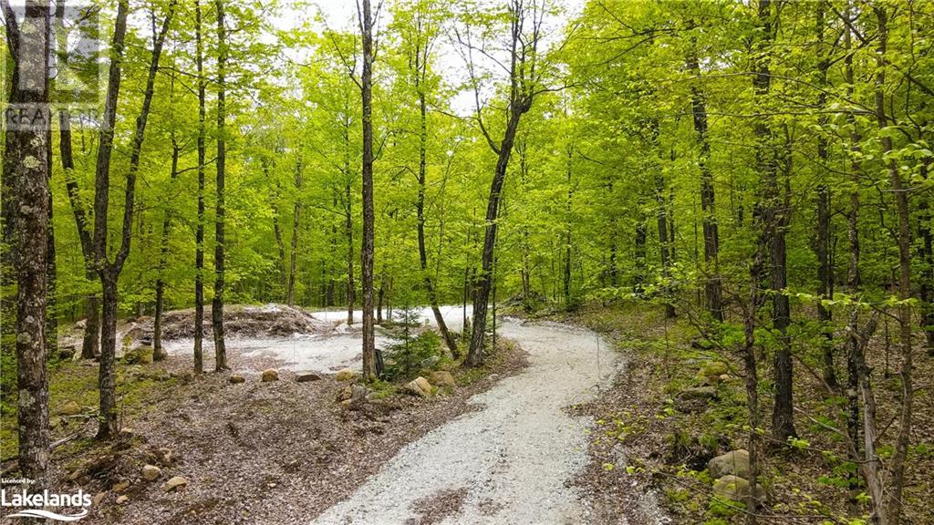 Lot 109 Basshaunt Lake Road, Haliburton, Ontario  K0M 1S0 - Photo 5 - 40547410