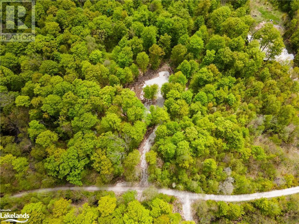 Lot 109 Basshaunt Lake Road, Haliburton, Ontario  K0M 1S0 - Photo 4 - 40547410