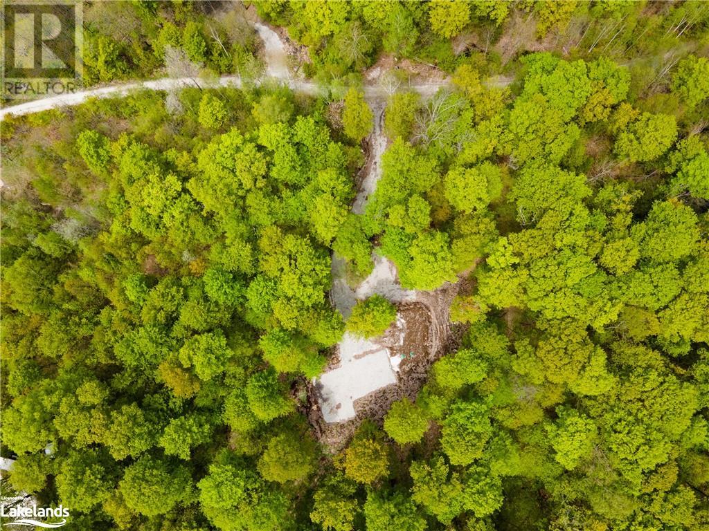 Lot 109 Basshaunt Lake Road, Haliburton, Ontario  K0M 1S0 - Photo 8 - 40547410