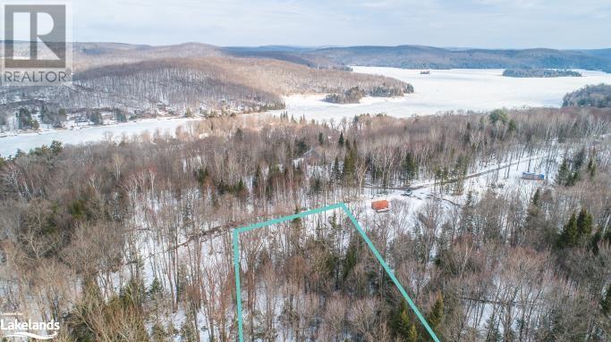 Lot 109 Basshaunt Lake Road, Haliburton, Ontario  K0M 1S0 - Photo 40 - 40547410