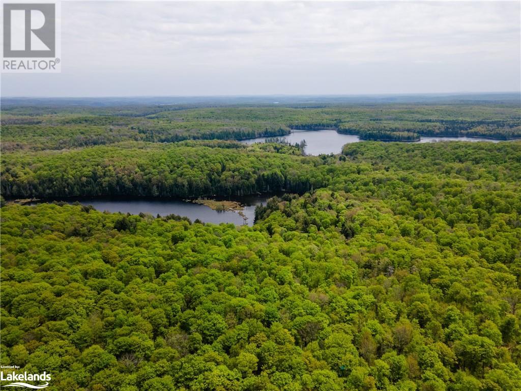 Lot 109 Basshaunt Lake Road, Haliburton, Ontario  K0M 1S0 - Photo 22 - 40547410