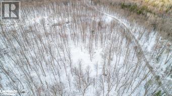 Lot 109 Basshaunt Lake Road, Haliburton, Ontario  K0M 1S0 - Photo 34 - 40547410